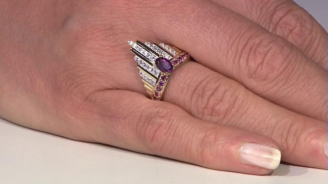 Letzte TV-Show ansehen