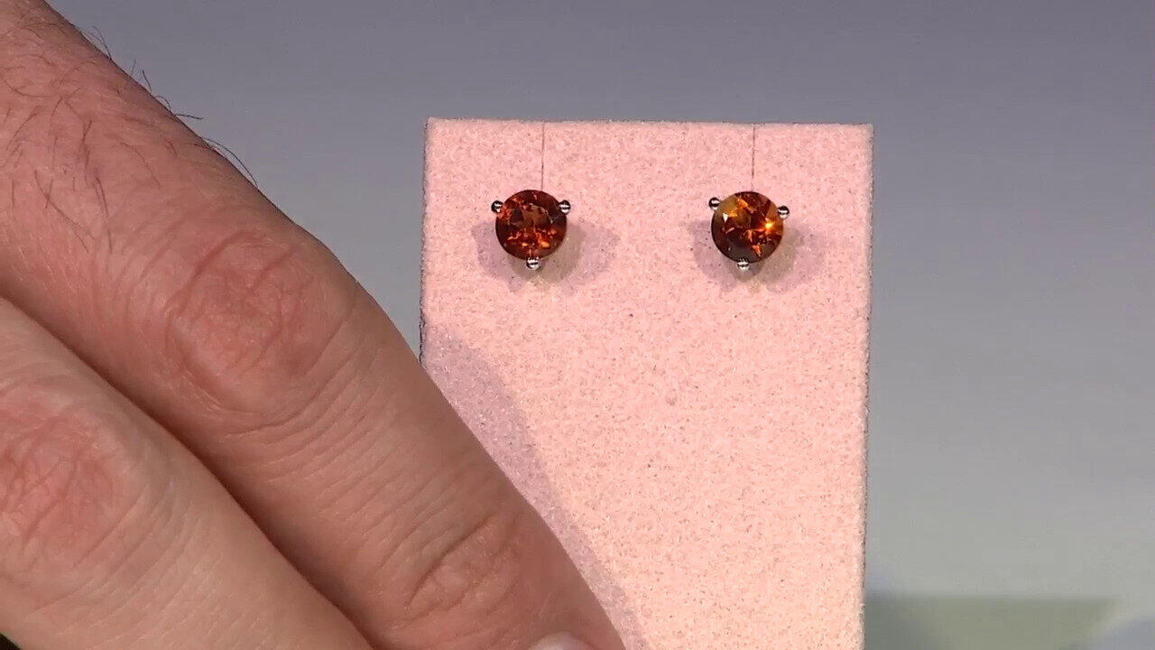 Letzte TV-Show ansehen