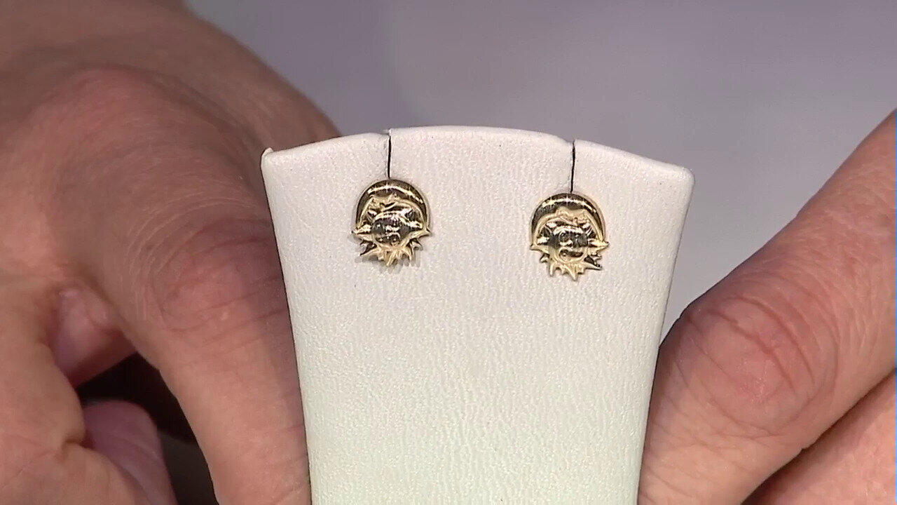 Video 9K Gold Earrings