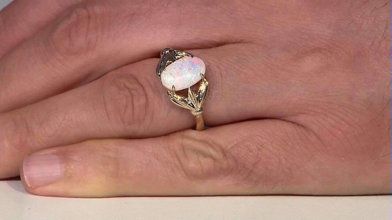 Letzte TV-Show ansehen