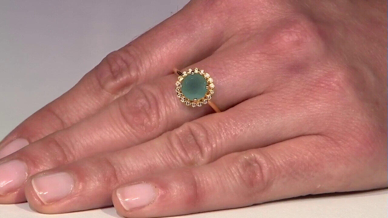 Video Zilveren ring met een Grandidieriet
