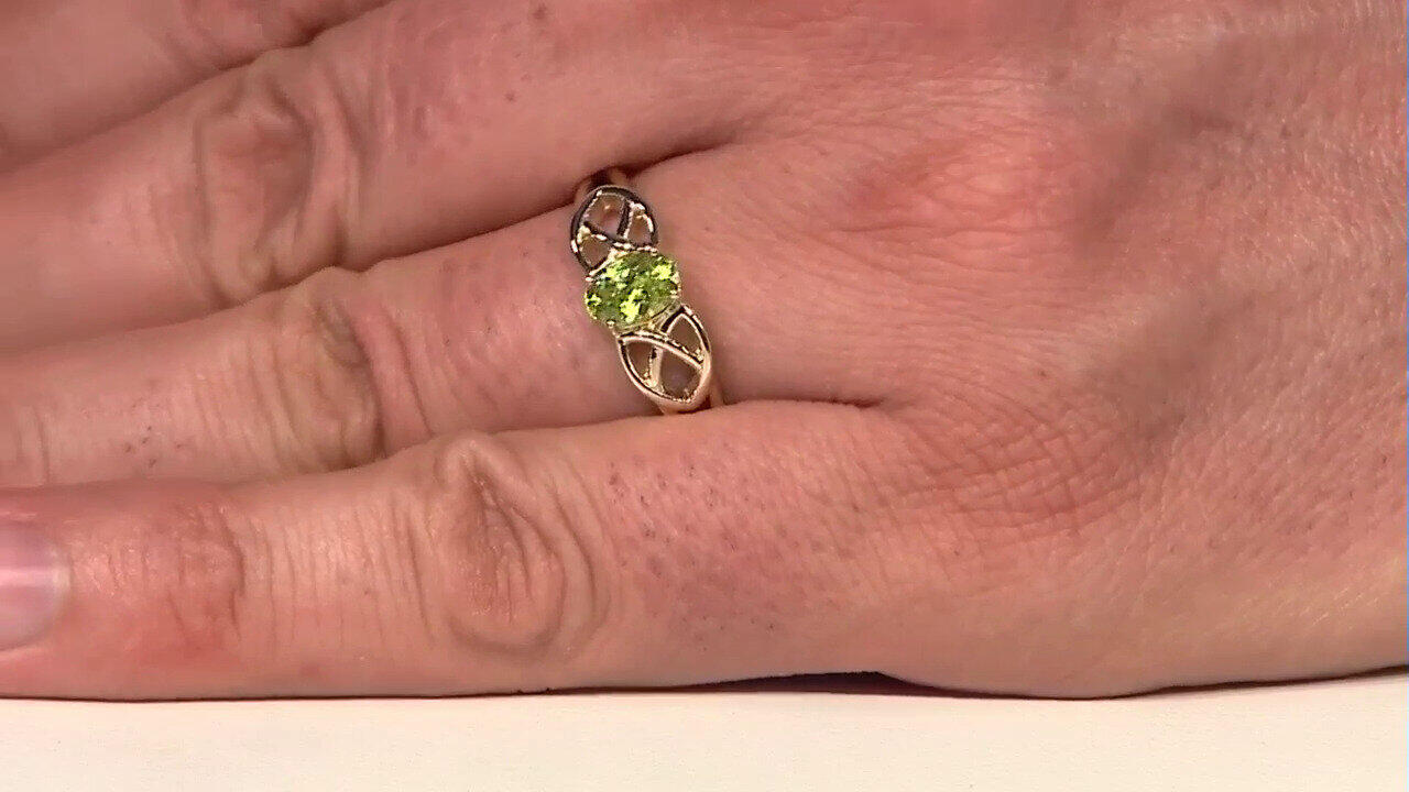 Letzte TV-Show ansehen