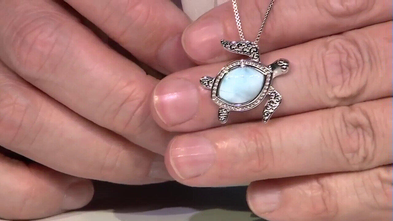 Video Zilveren hanger met een larimar