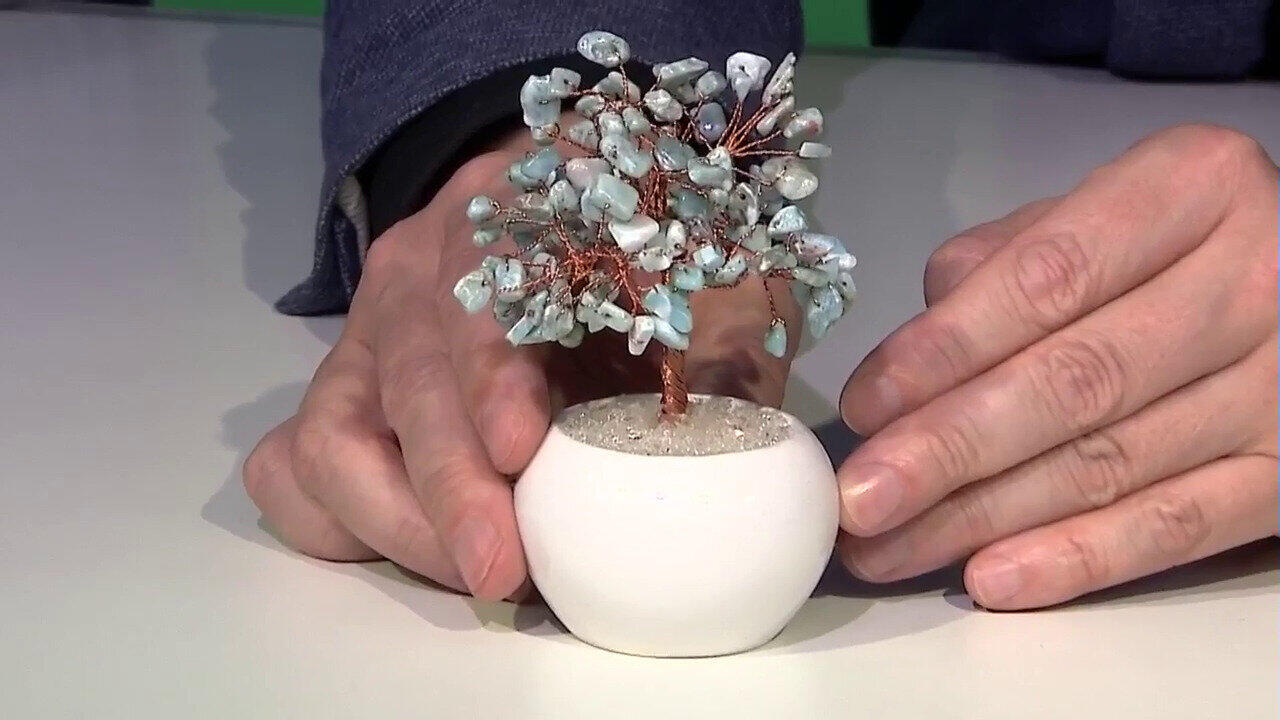 Visualizza l‘ultima asta di gioielli in Tv