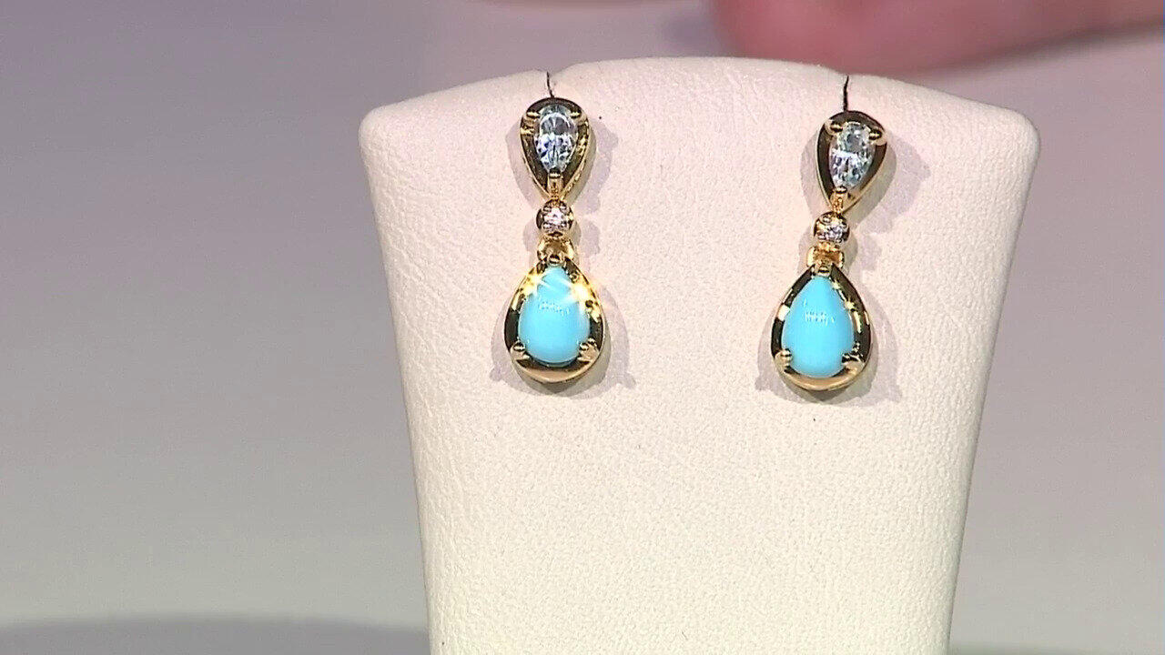 Video Sleeping Beauty Turquoise Silver Earrings