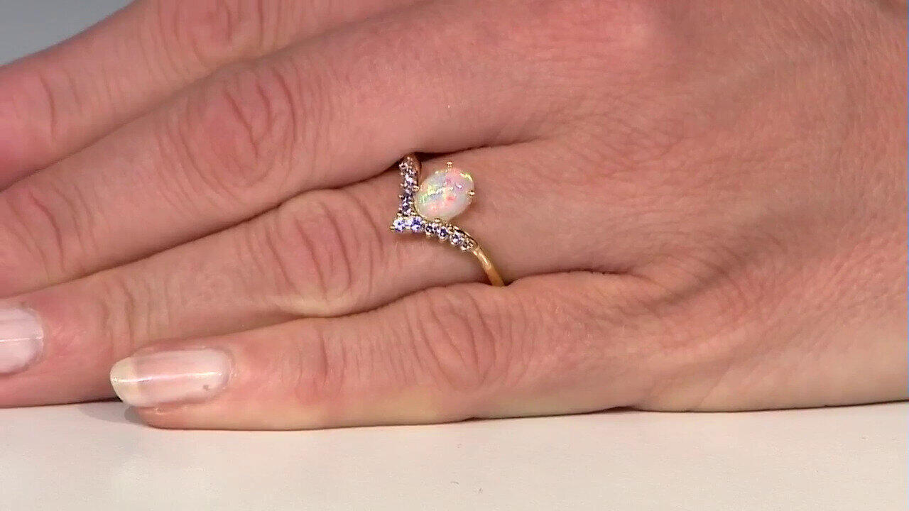 Letzte TV-Show ansehen