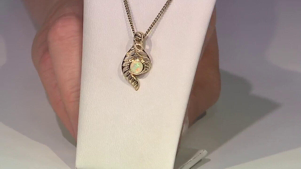 Ver última TV oferta