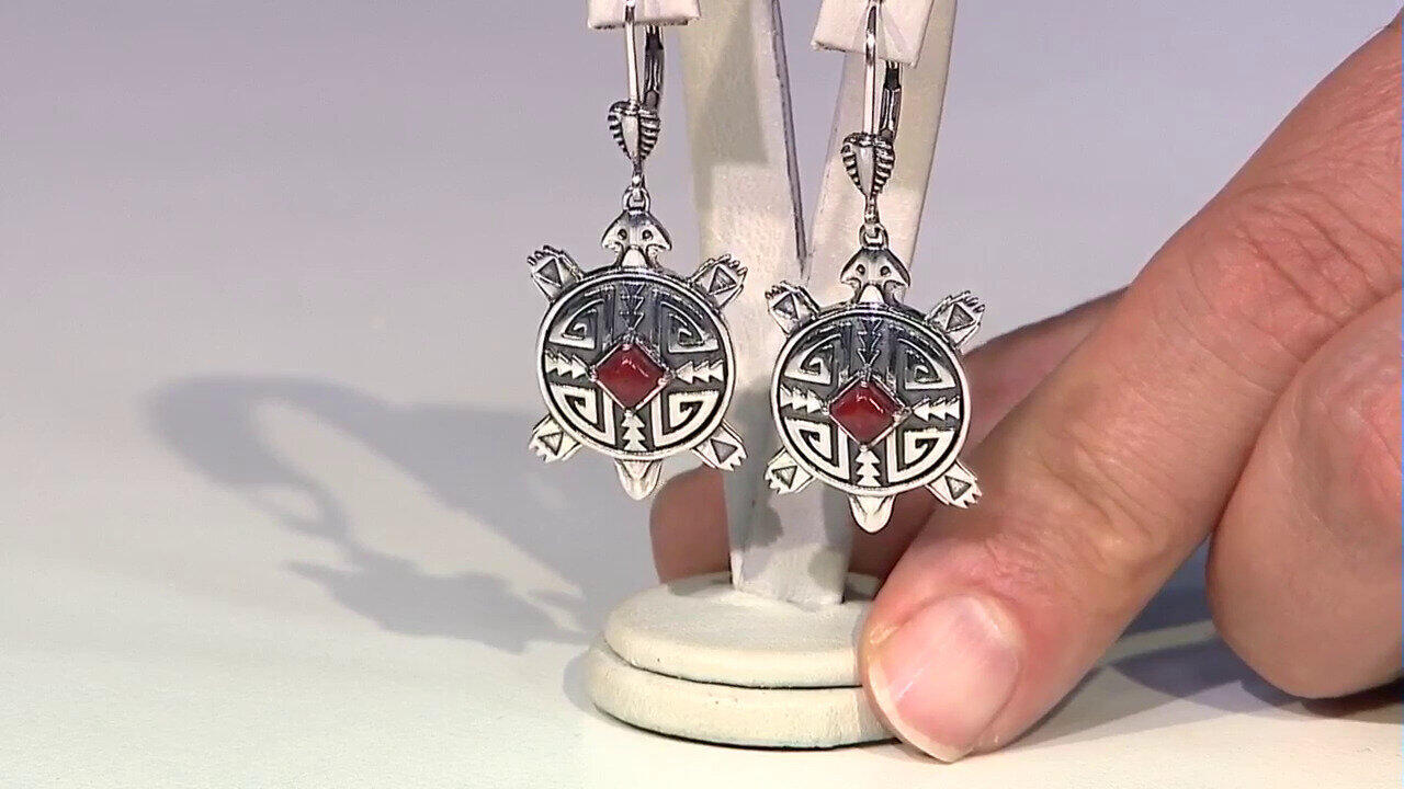 Letzte TV-Show ansehen