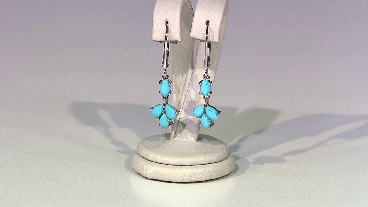 Video Boucles d'oreilles en argent et Turquoise Sleeping Beauty (Faszination Türkis)