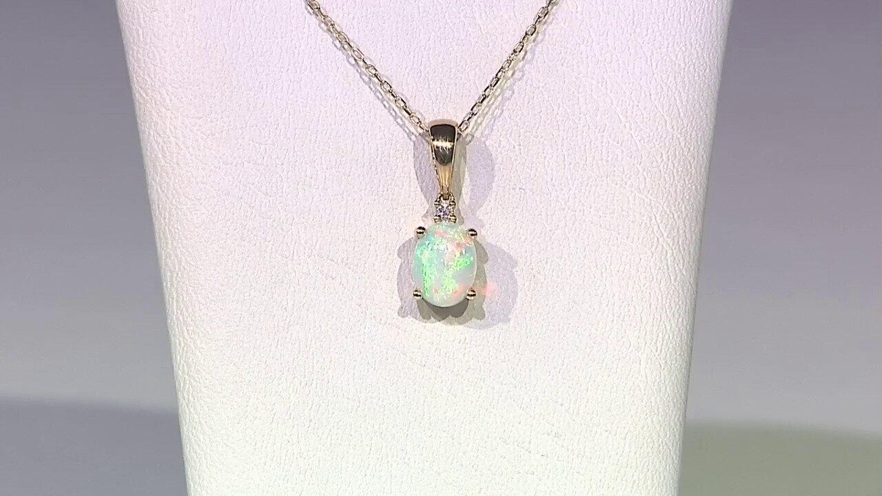 Letzte TV-Show ansehen