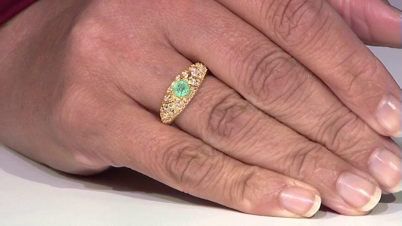 Letzte TV-Show ansehen