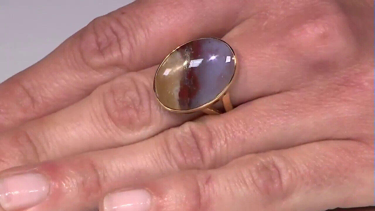 Laatste live aanbiedingen bekijken