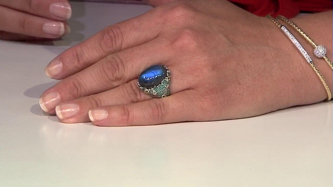 Letzte TV-Show ansehen