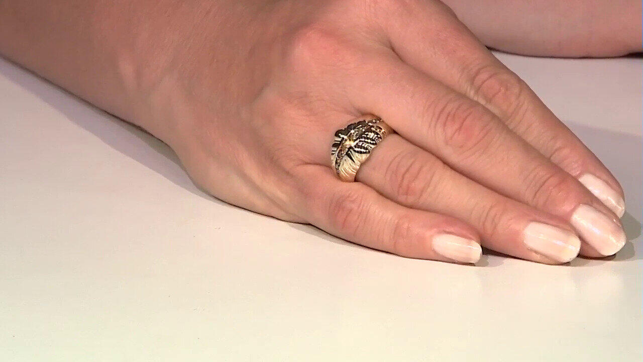 Letzte TV-Show ansehen