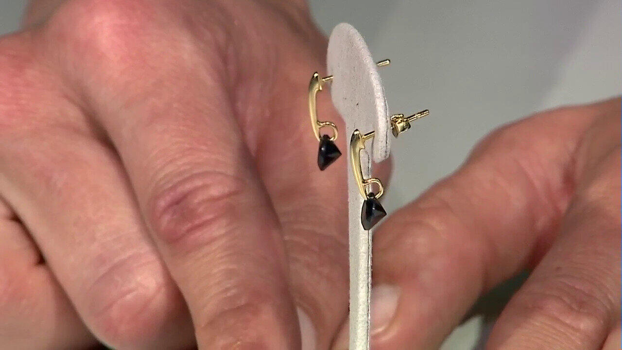 Video Zilveren oorbellen met zwarte saffieren