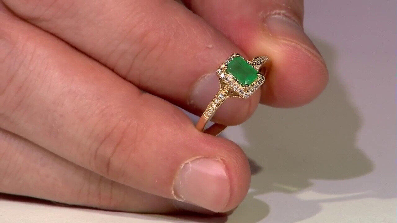 Letzte TV-Show ansehen