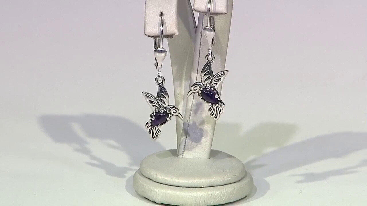 Letzte TV-Show ansehen