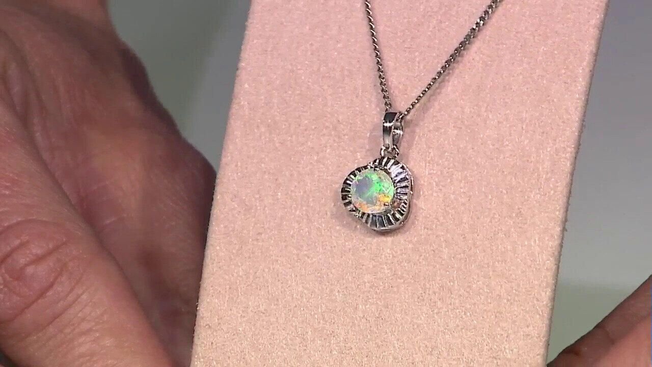 Laatste live aanbiedingen bekijken