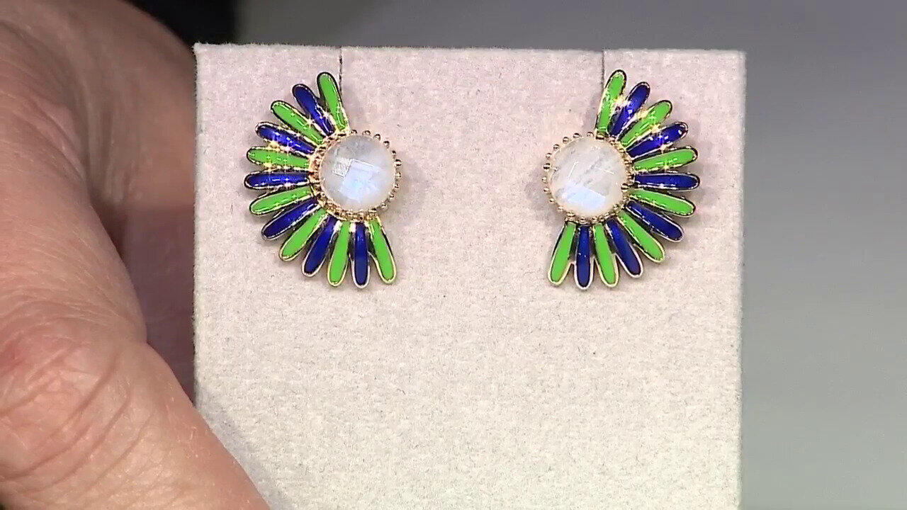 Letzte TV-Show ansehen