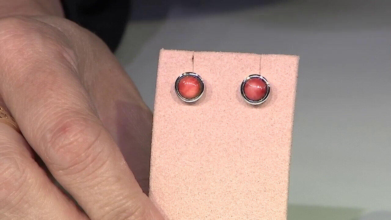 Letzte TV-Show ansehen