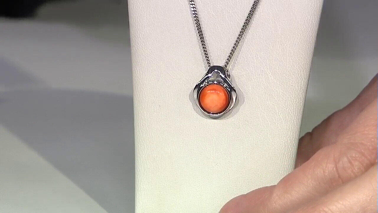 Letzte TV-Show ansehen