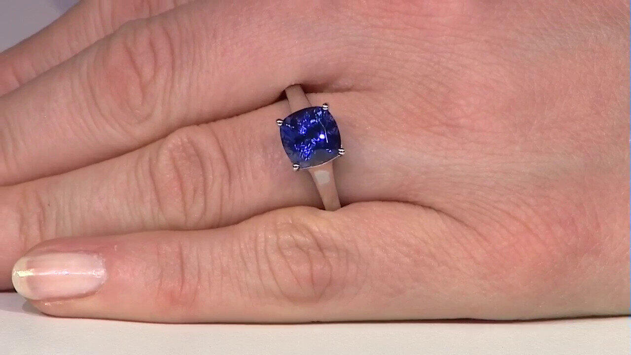 Letzte TV-Show ansehen