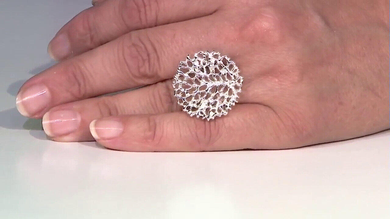 Video Zilveren ring (Nan Collection)