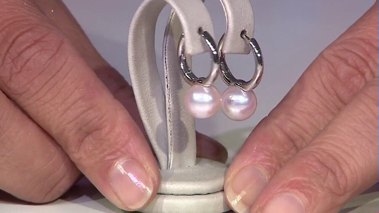 Laatste live aanbiedingen bekijken