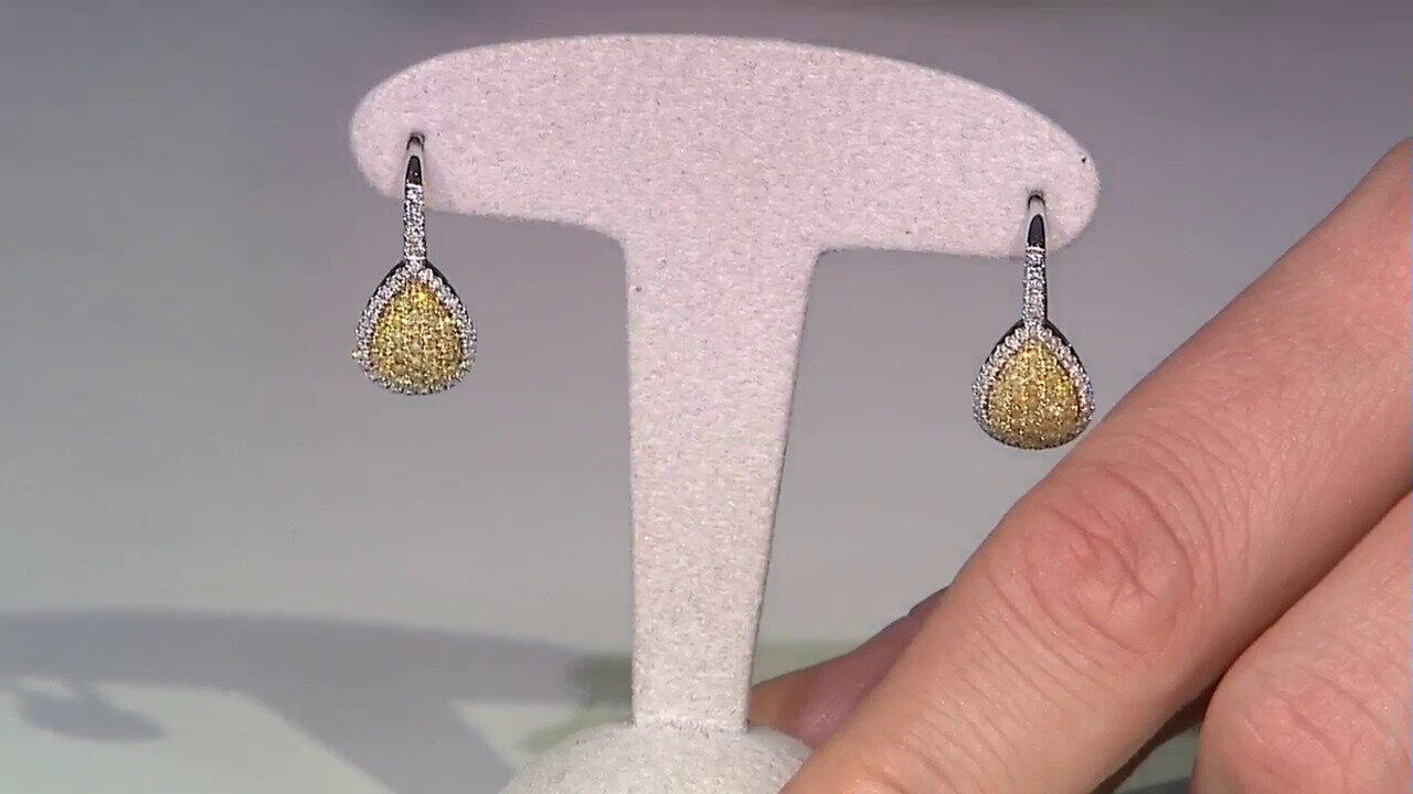 Voir l’enchère du bijou