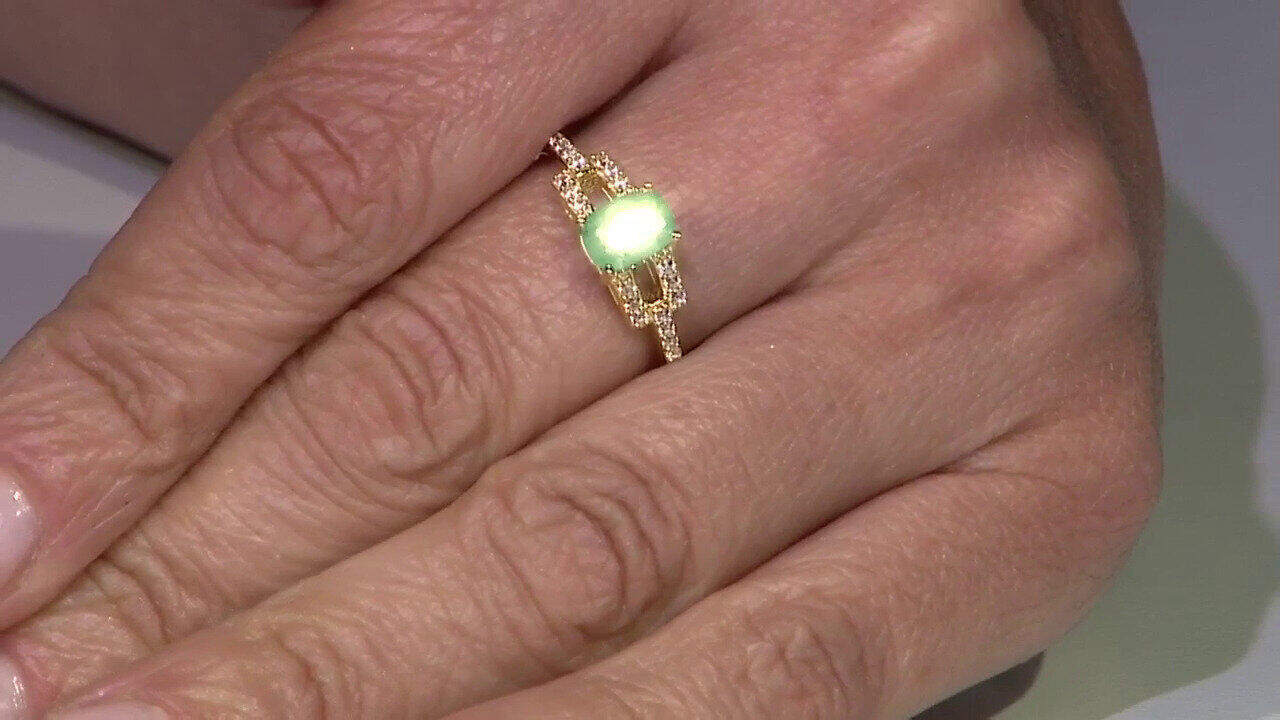 Letzte TV-Show ansehen