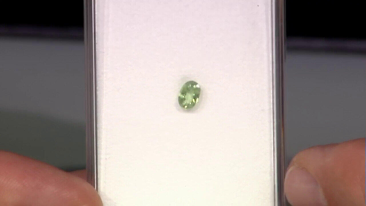 Letzte TV-Show ansehen