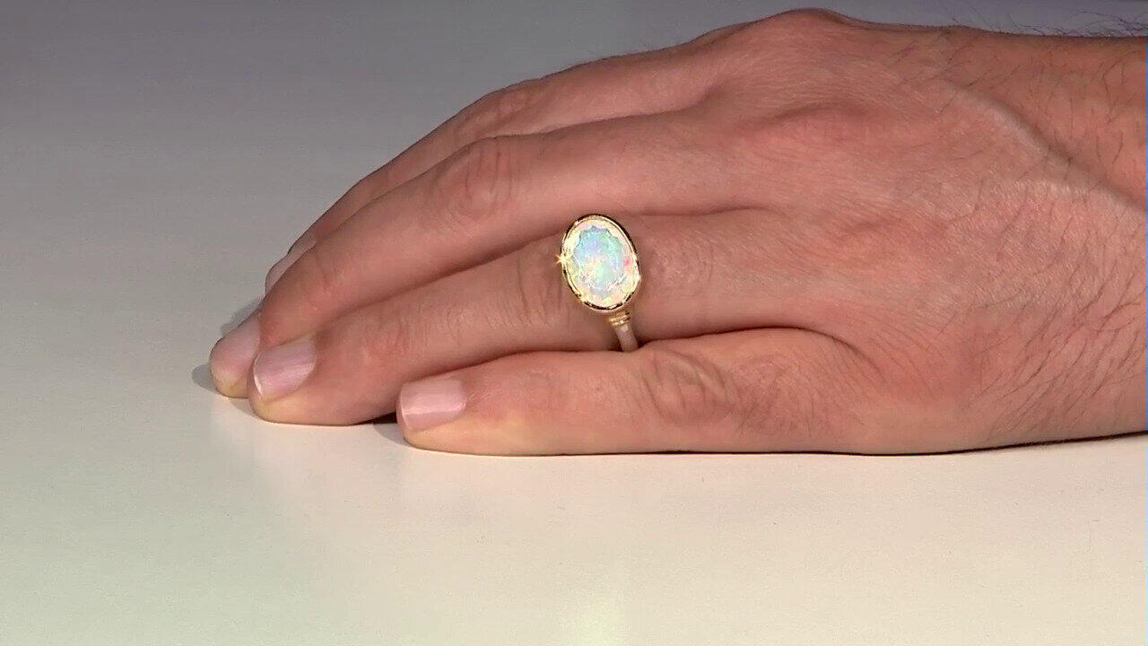 Laatste live aanbiedingen bekijken