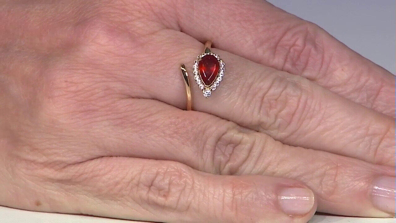 Letzte TV-Show ansehen