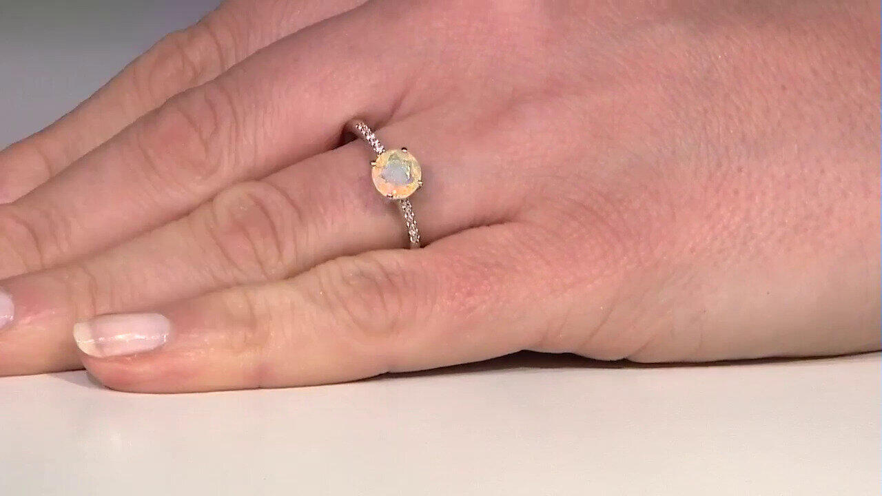 Ver última TV oferta