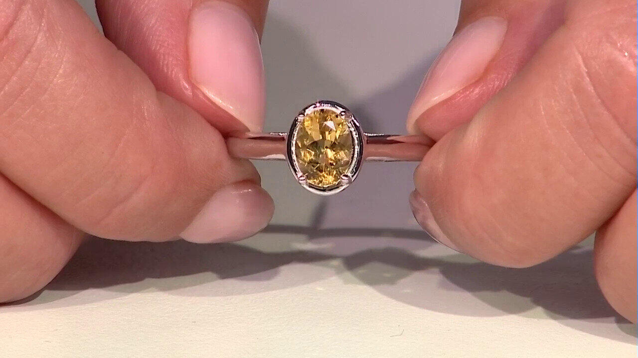 Ver última TV oferta