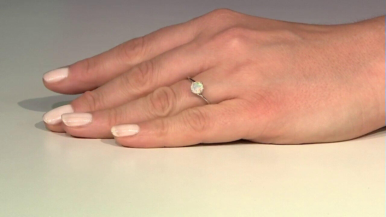 Letzte TV-Show ansehen