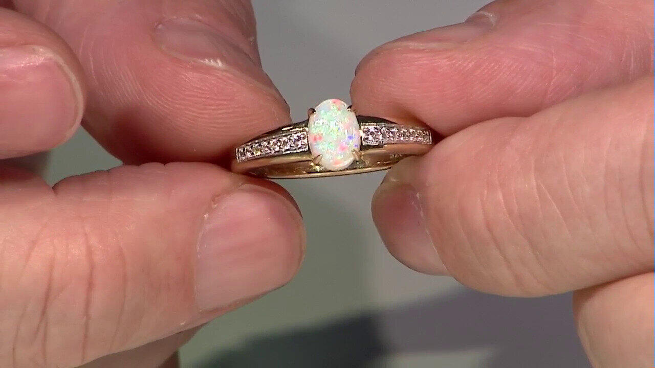 Letzte TV-Show ansehen