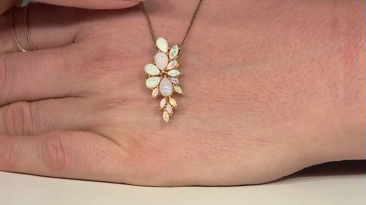 Letzte TV-Show ansehen