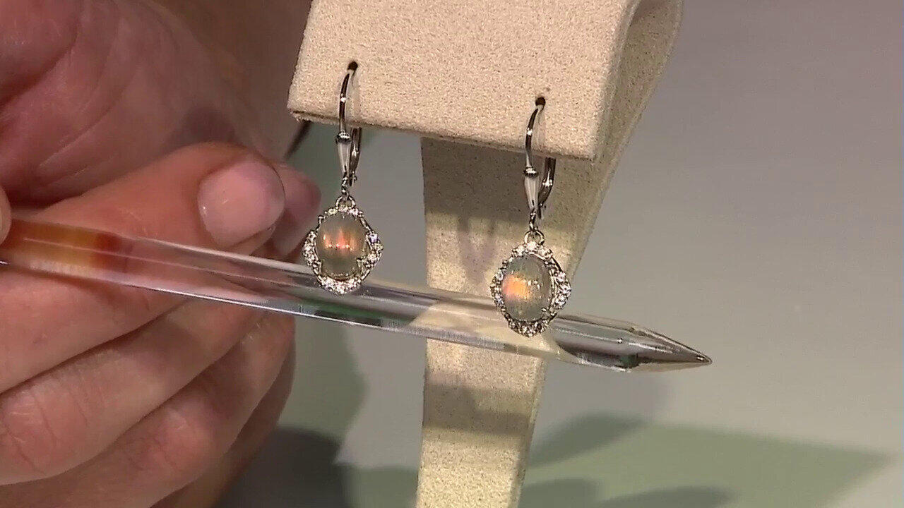 Laatste live aanbiedingen bekijken