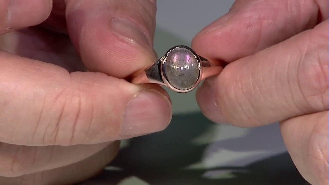 Laatste live aanbiedingen bekijken