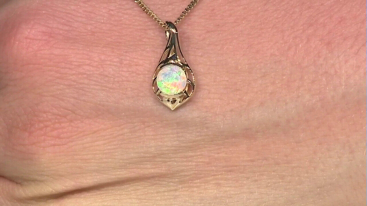 Letzte TV-Show ansehen