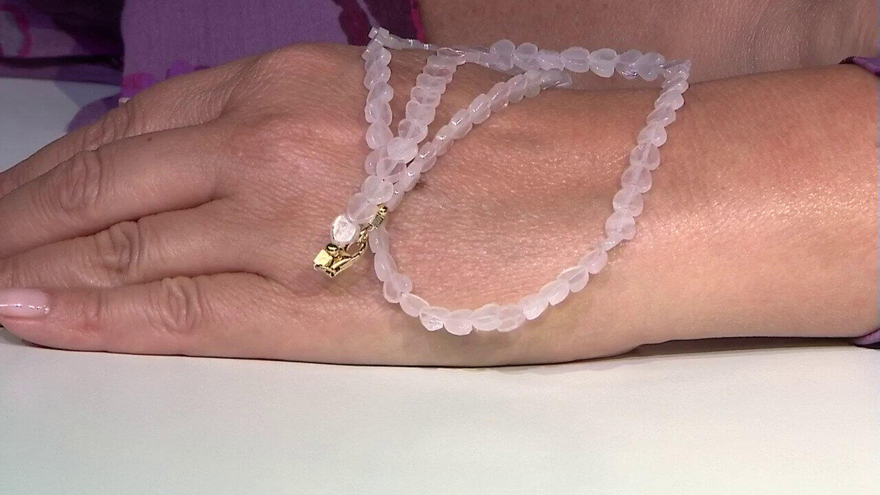 Letzte TV-Show ansehen