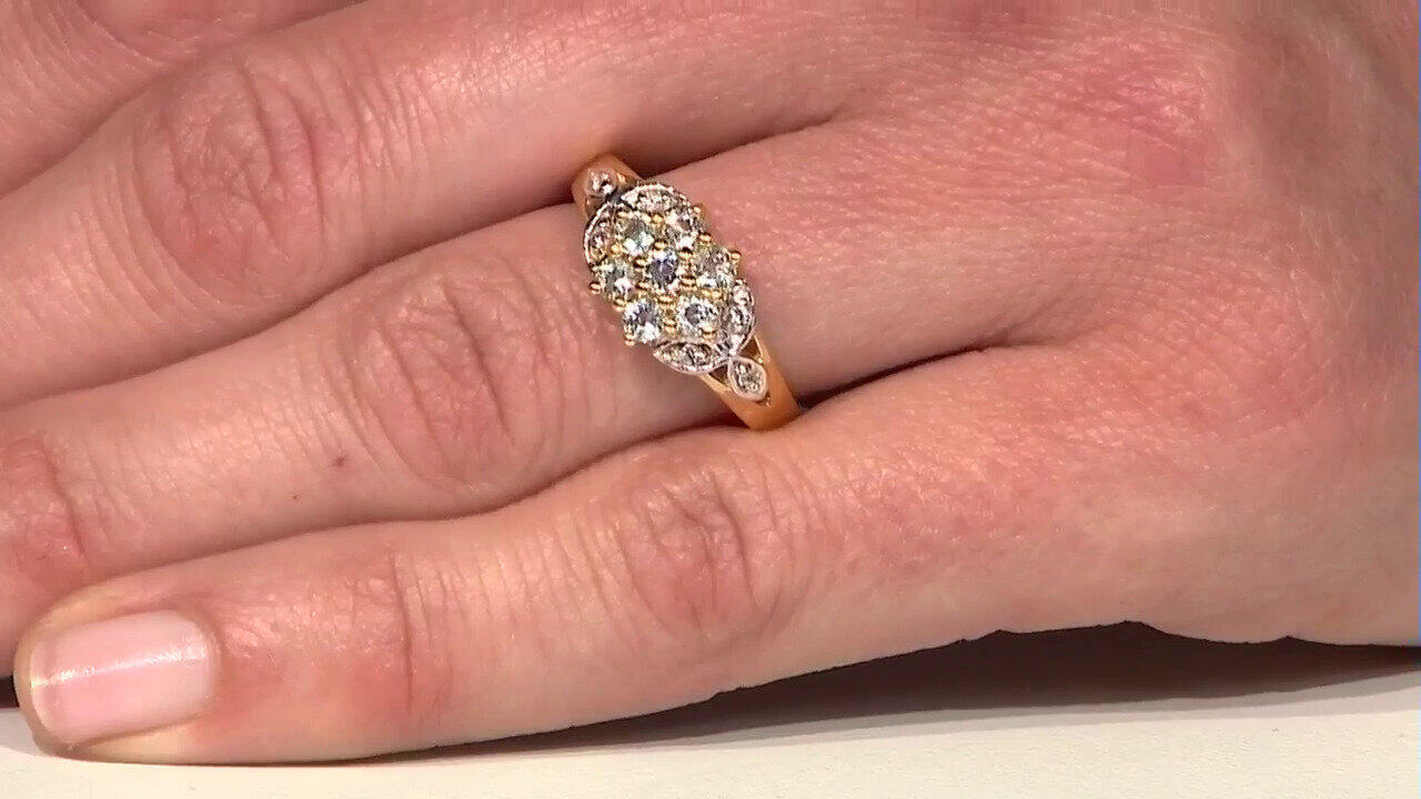 Letzte TV-Show ansehen