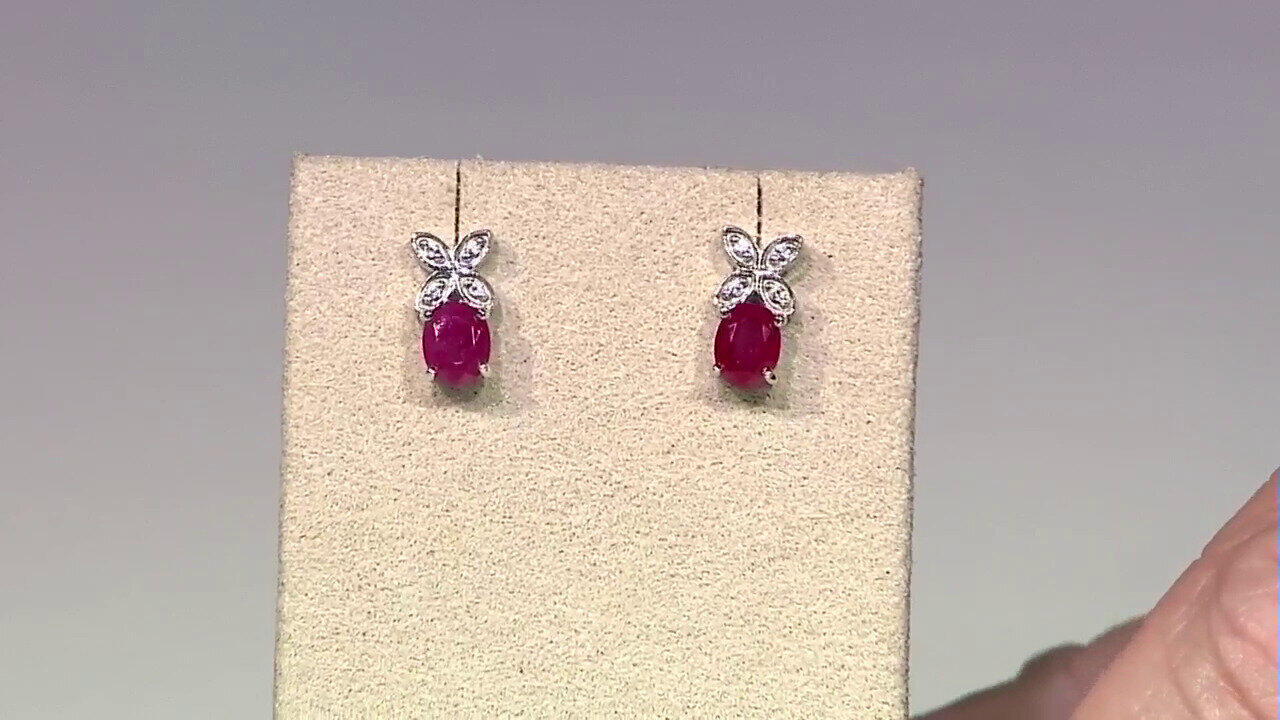 Letzte TV-Show ansehen