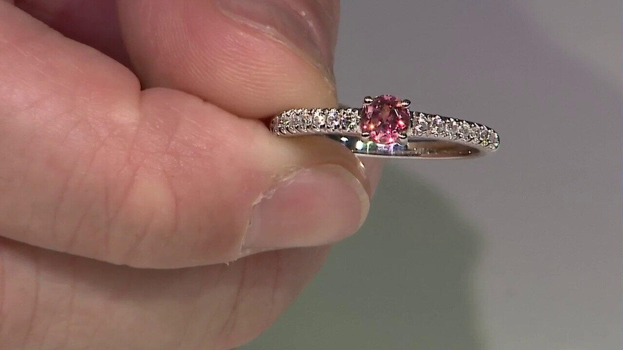 Ver última TV oferta