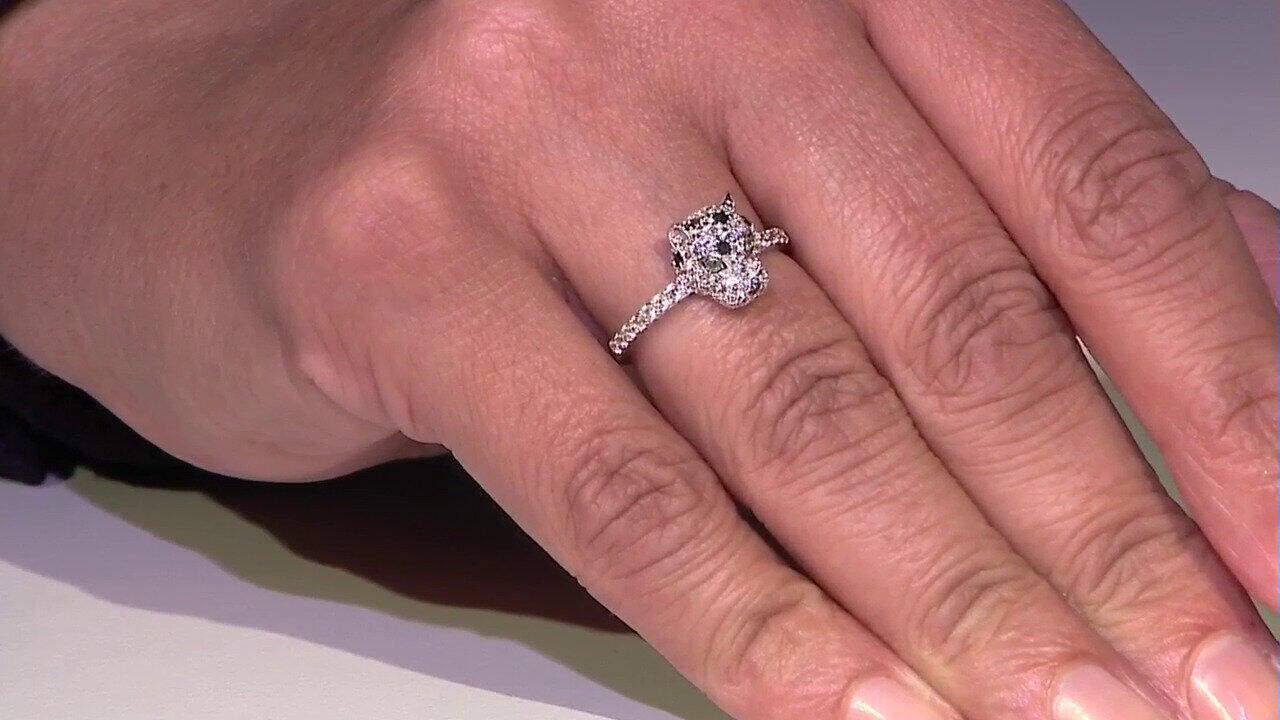 Letzte TV-Show ansehen