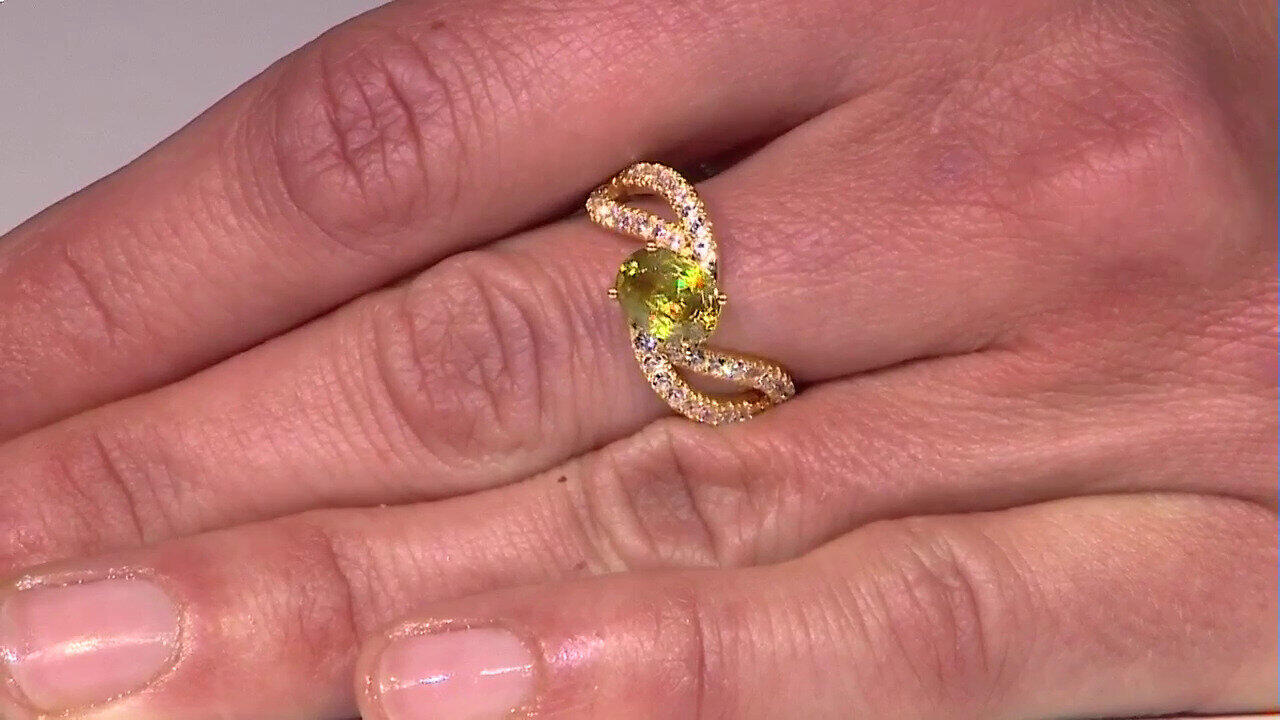Video Zilveren ring met een Sfeen