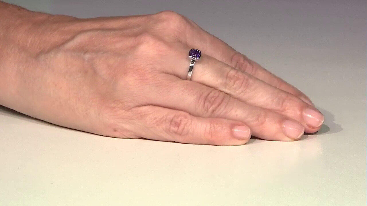 Letzte TV-Show ansehen