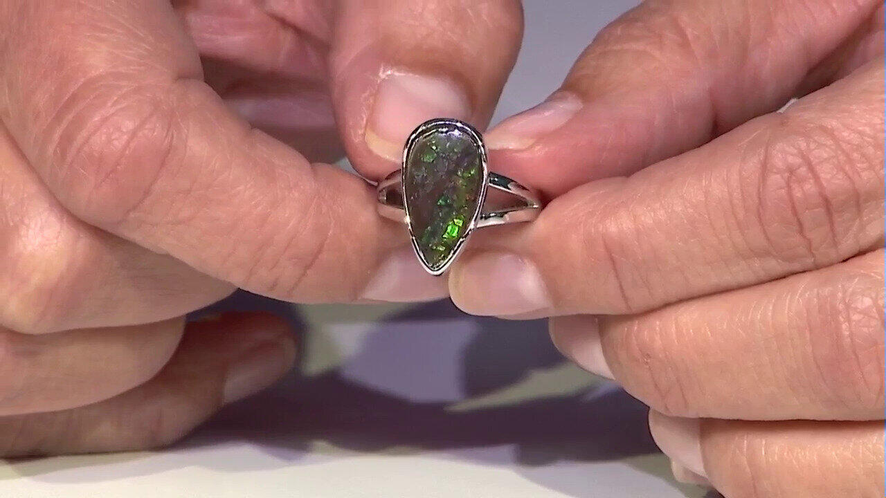 Letzte TV-Show ansehen