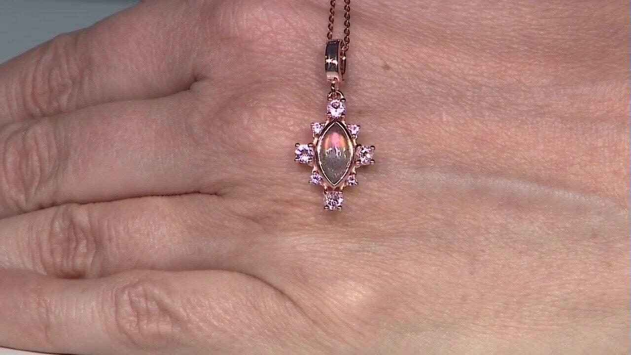 Laatste live aanbiedingen bekijken